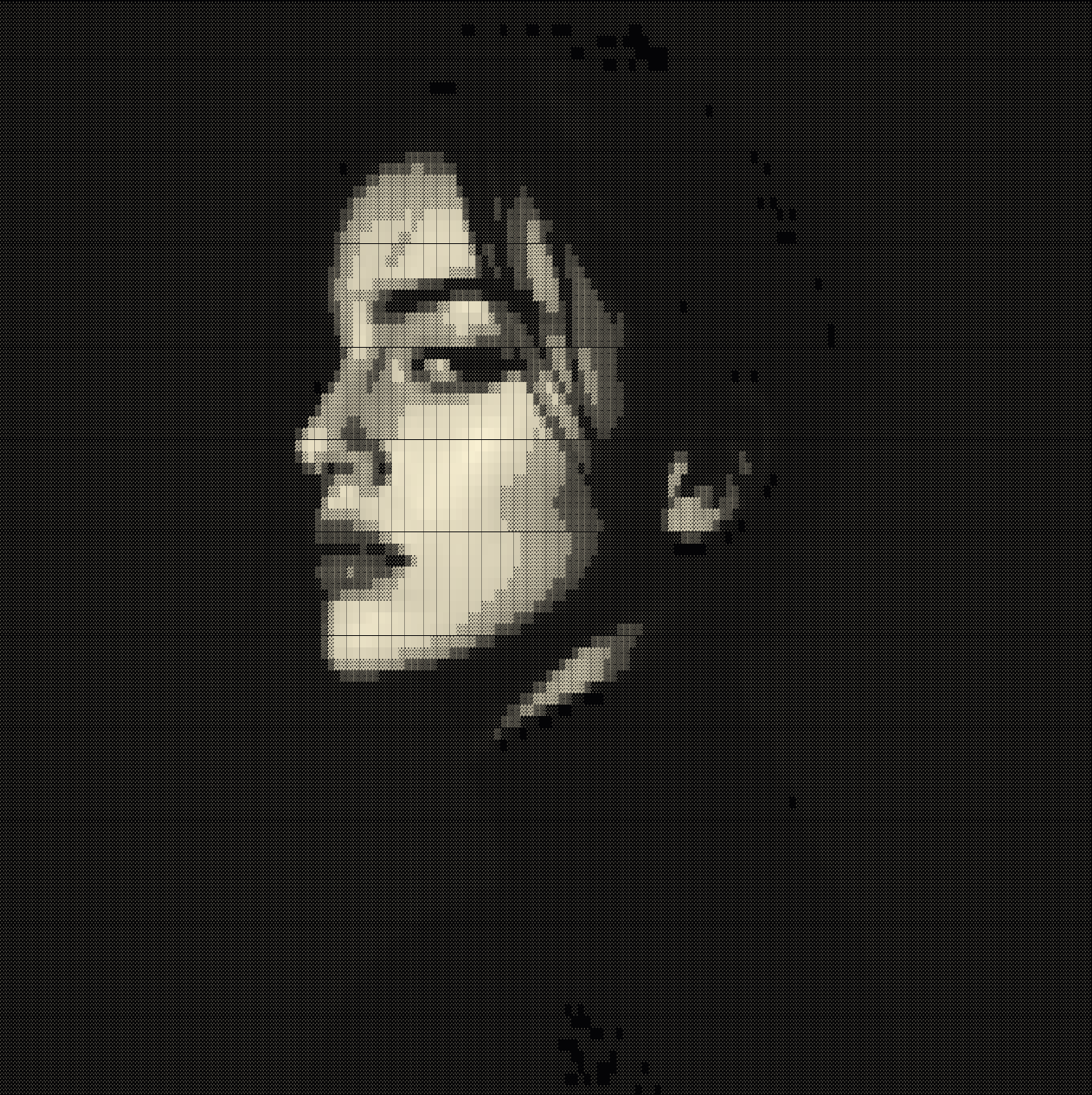 Photo turned into ASCII art in the Block Chars style