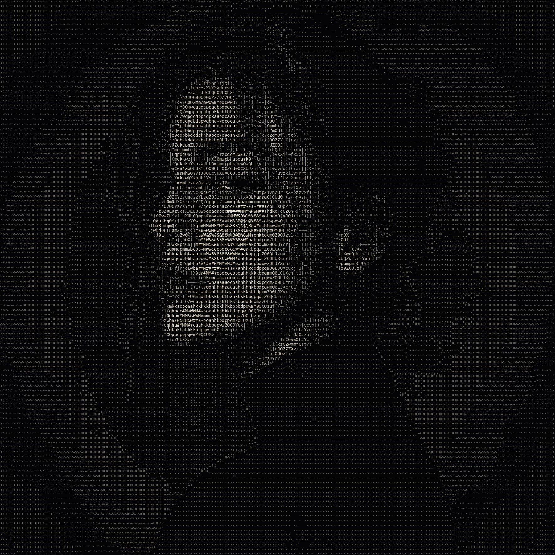 Photo turned into ASCII art in the Detailed style
