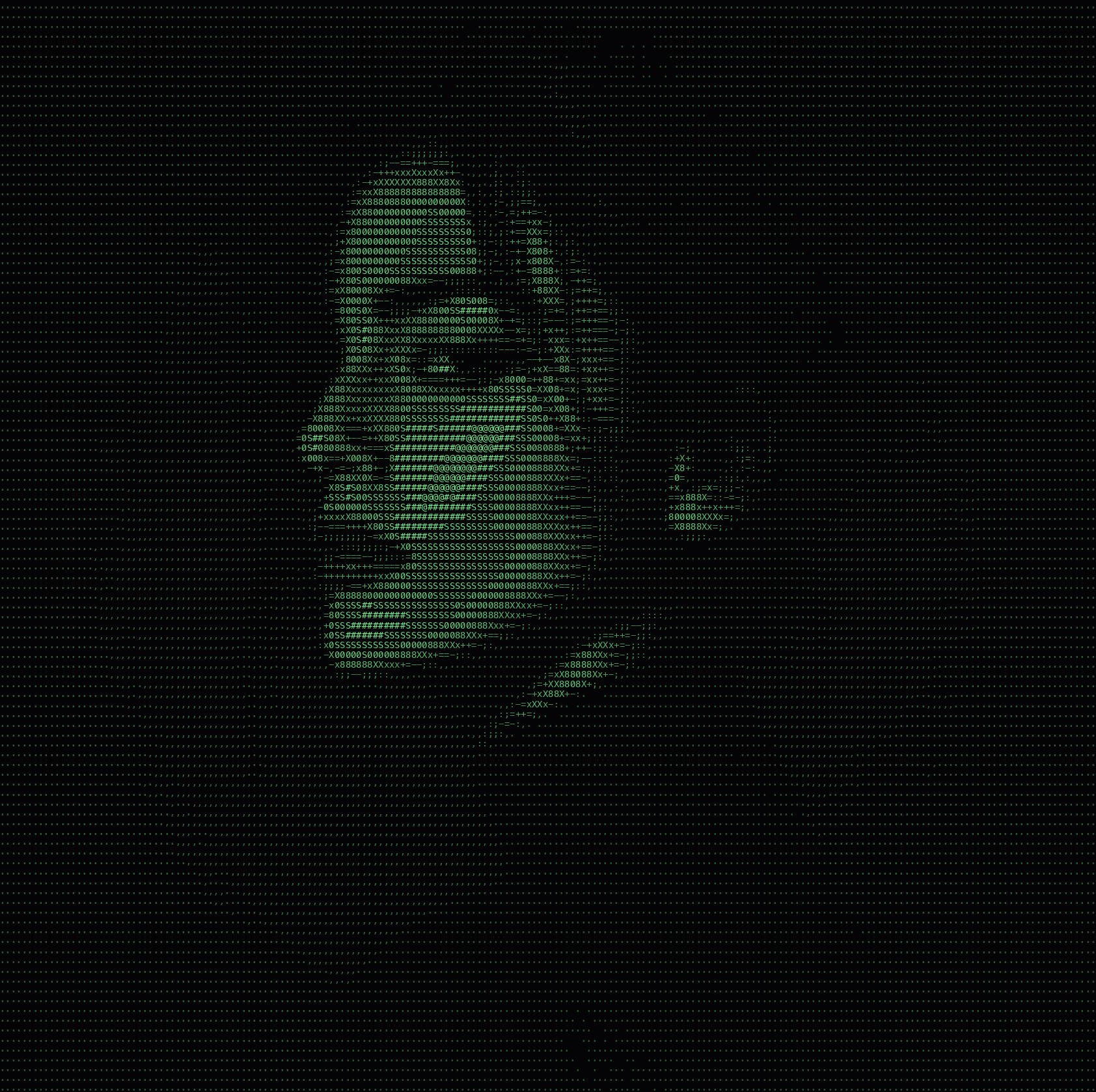 Photo converted to ASCII art with the image to ASCII tool