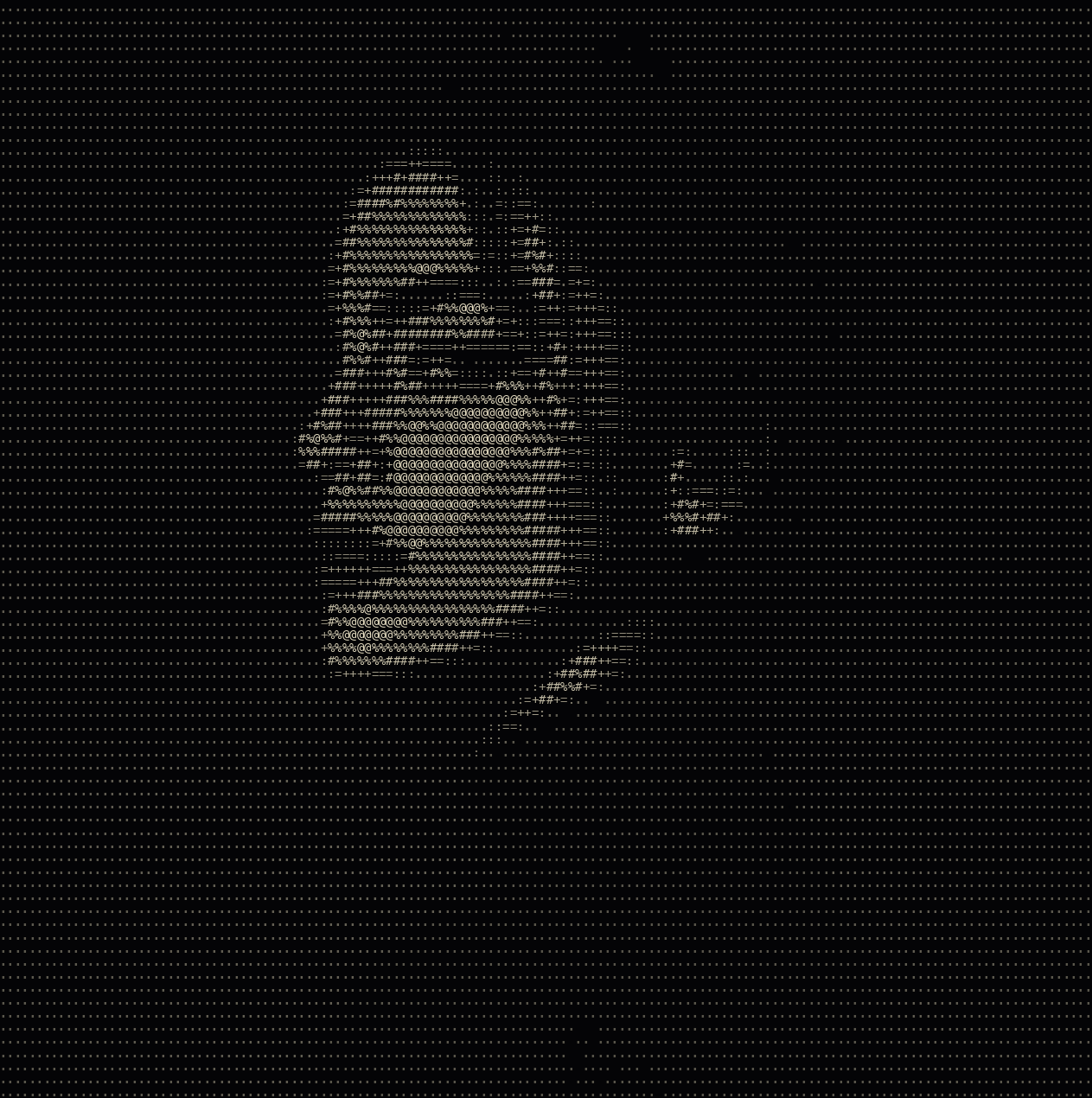 Photo turned into ASCII art in the Minimal style
