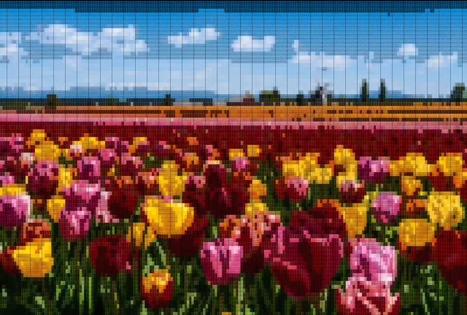 Colorful ASCII art terminal banner